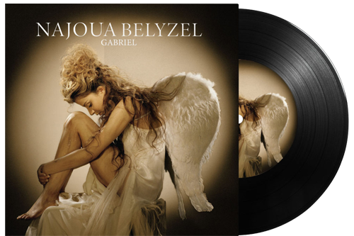 Die Box enthält eine Vynil-Tasche