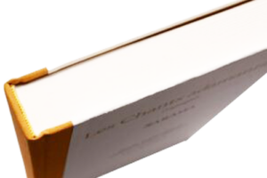 Kupfergelbes Kapitelband passend zur Farbe des Rückens